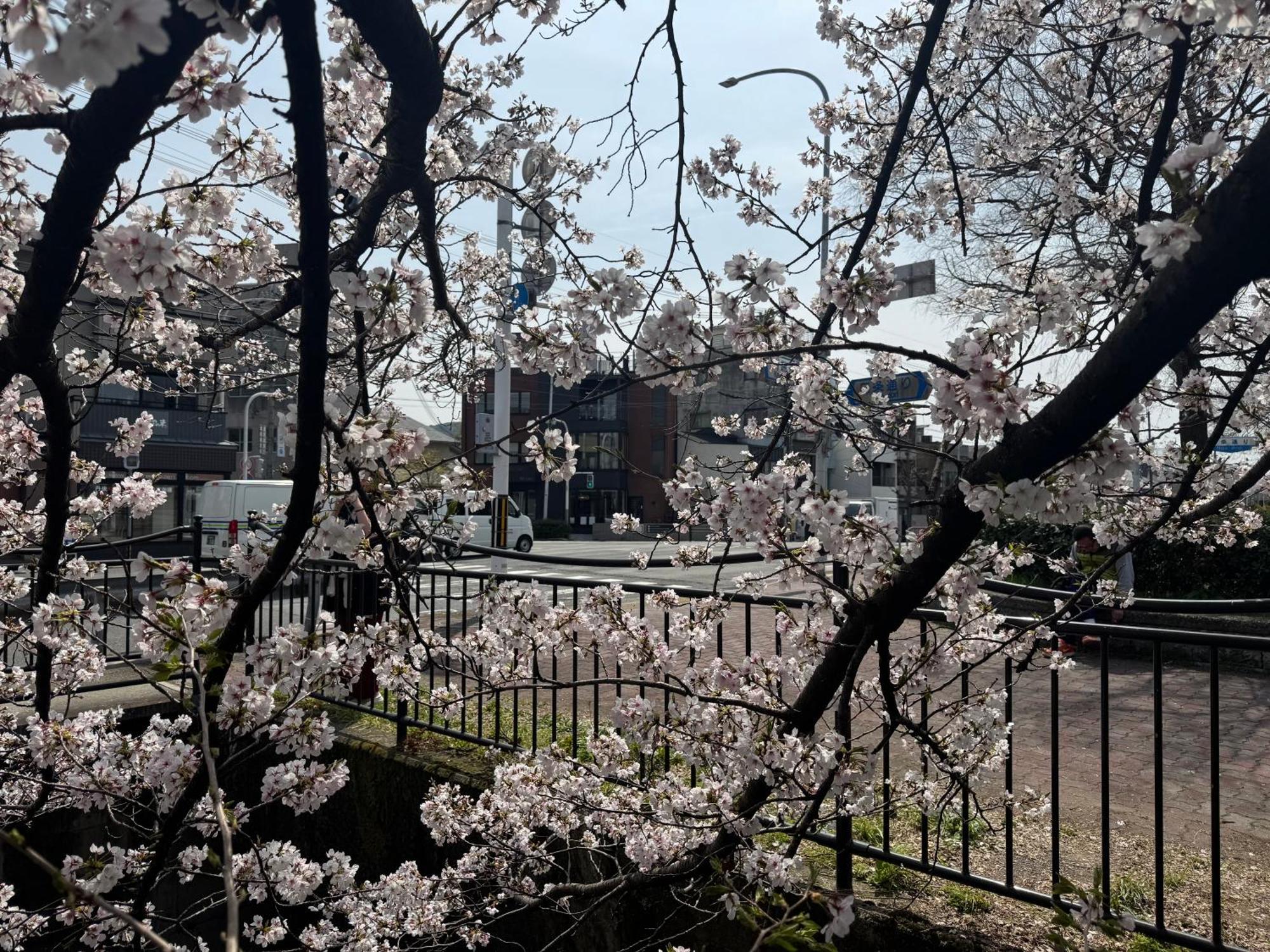 קיוטו Mont-モン-Kamogawa Stay And Hotel מראה חיצוני תמונה